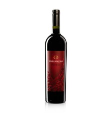 MARRAMIERO MONTEPULCIANO D'ABRUZZO  TERRE DEI VESTINI  INFERI 0.75 litri
