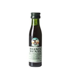 BRANCA MENTA Tascabile 0.10 litri