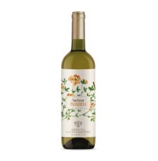 COCCI GRIFONI SAN BASSO BIANCO 0.75 litri