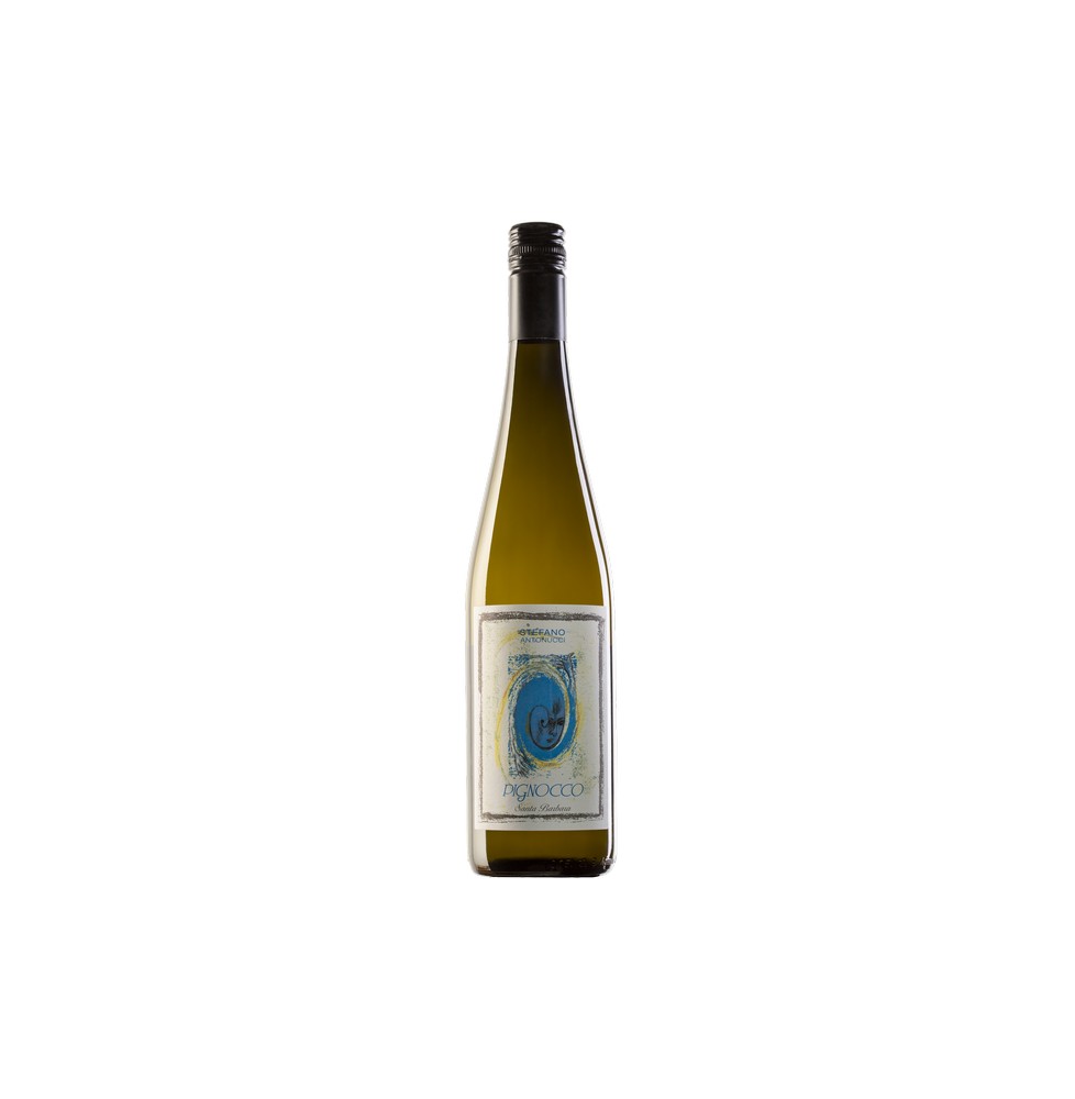 SANTA BARBARA PIGNOCCO VERDICCHIO 0.75 litri