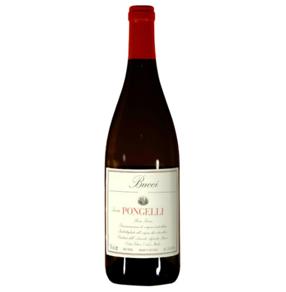 BUCCI TENUTA PONGELLI ROSSO PICENO DOC 0.75 litri