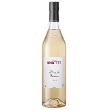 BRIOTTET LIQUORE AL SAMBUCO 0.70 litri