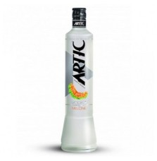 ARTIC VODKA & FRUTTA MELONE 1.00 litri
