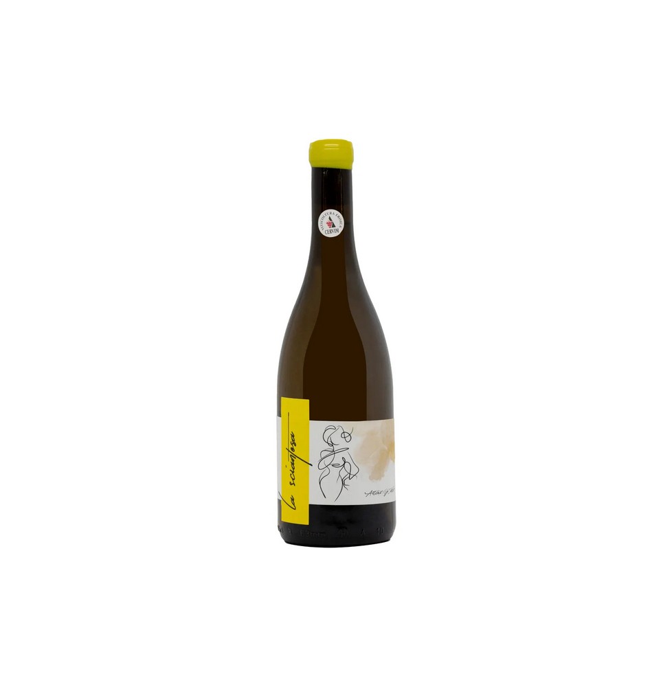 LE MACCHIE LA SCIANTOSA MALVASIA ANFORA 0.75 litri