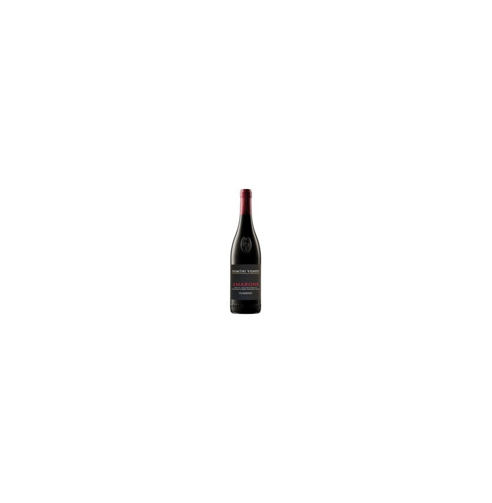 DOMINI VENETI AMARONE DELLA VALPOLICELLA CLASSICO 0.75 litri