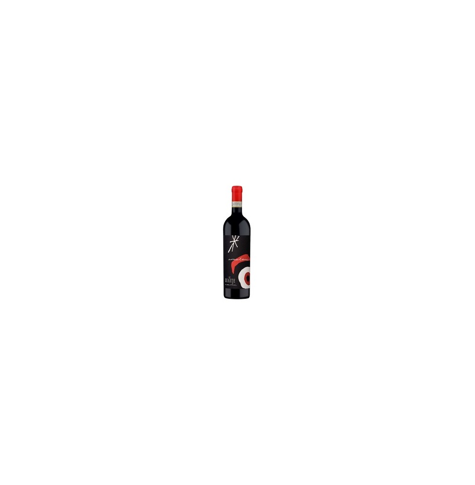 LE GUAITE DI NOEMI AMARONE DELLA VALPOLICELLA DOCG 0.75 litri
