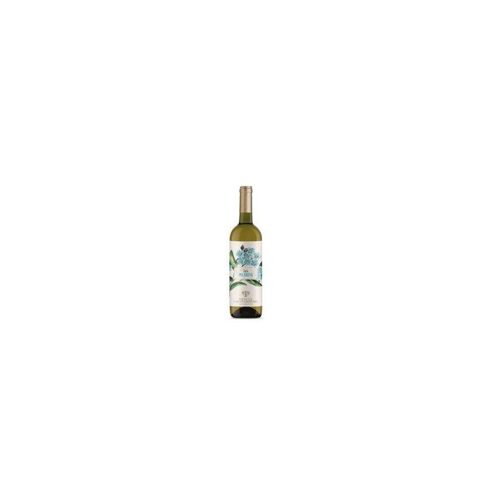 COCCI GRIFONI TARA' PECORINO 0.75 litri