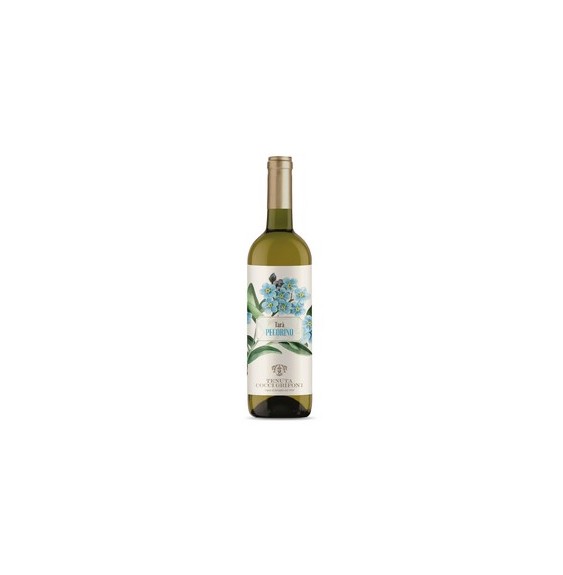COCCI GRIFONI TARA' PECORINO 0.75 litri