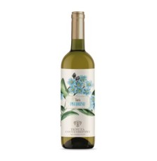 COCCI GRIFONI TARA' PECORINO 0.75 litri