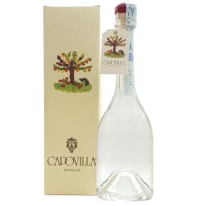 CAPOVILLA DIST.MELE COT. 0.50 litri