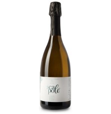 TERRA ARGILLOSA SPUMANTE SCAPOLE 0.75 litri