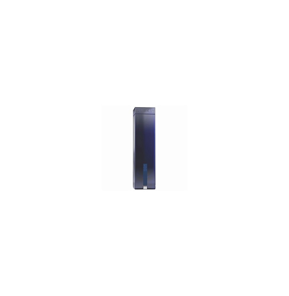 GIN ONE KEY 0.70 litri
