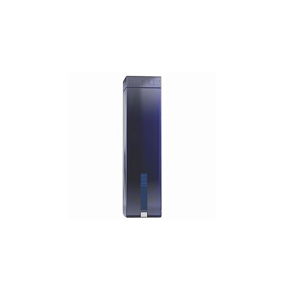 GIN ONE KEY 0.70 litri
