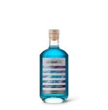 GIN PUNTO 0.70 litri