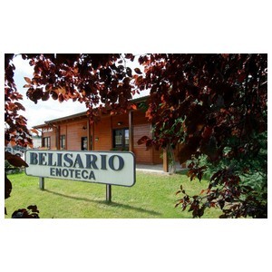 BELISARIO